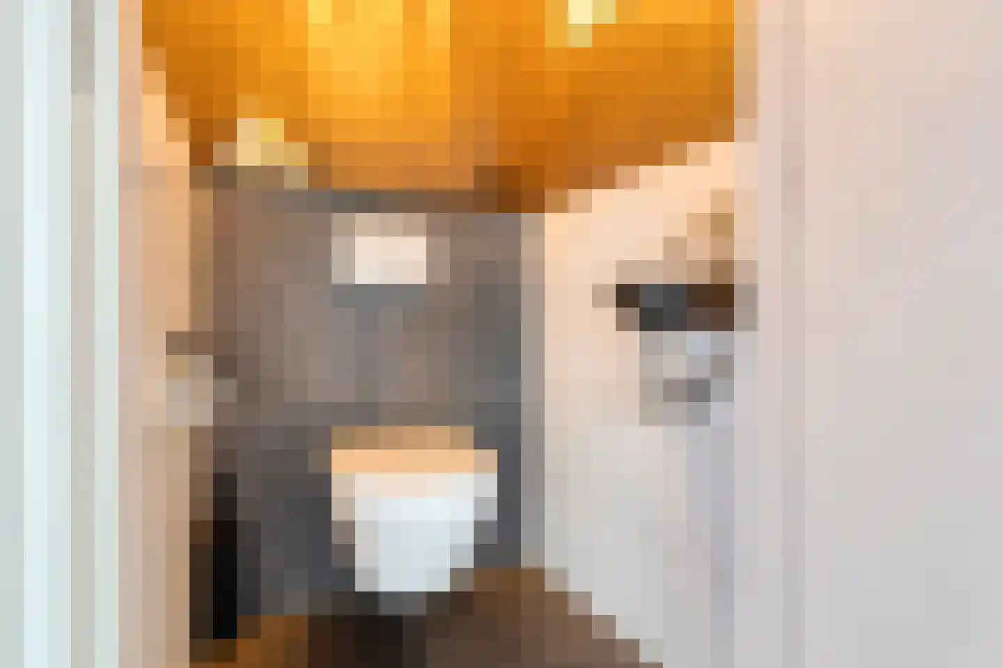 Parallelweg 8 Opheusden thumbnail 28