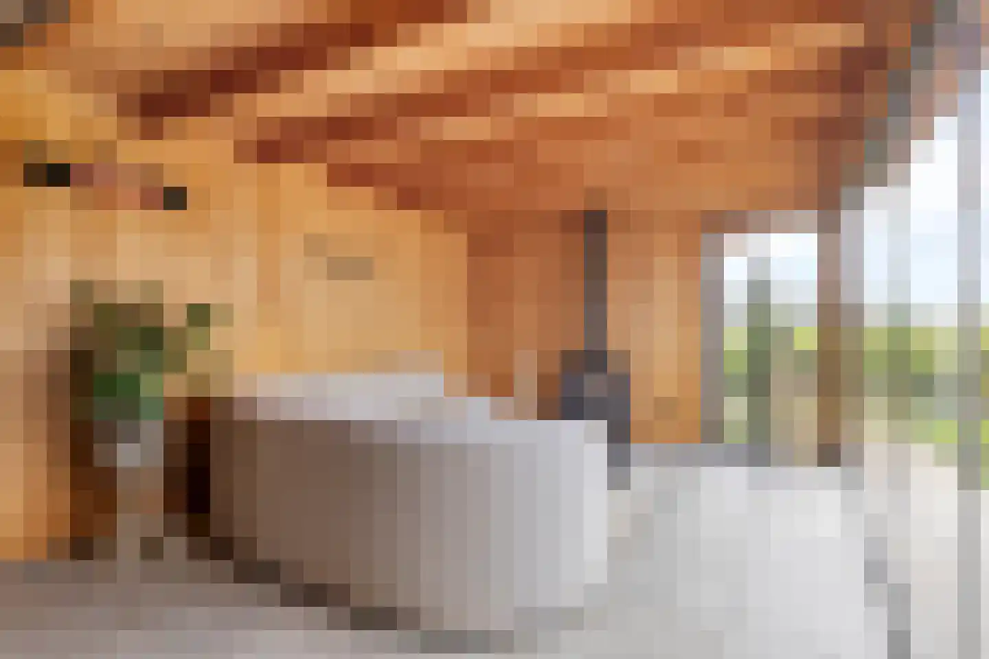 Parallelweg 8 Opheusden thumbnail 30