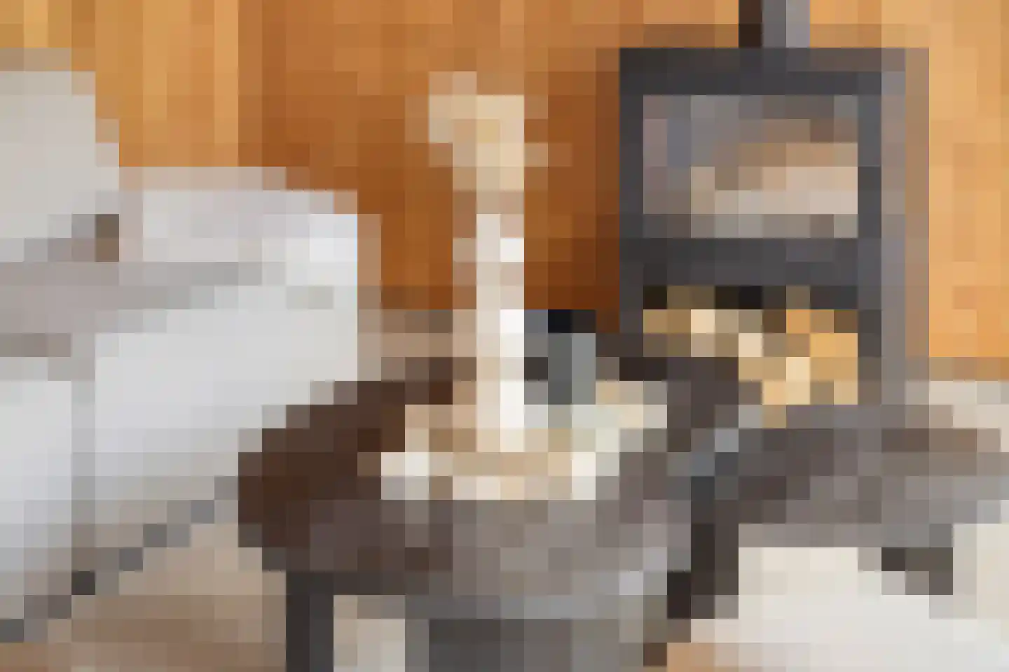 Parallelweg 8 Opheusden thumbnail 31