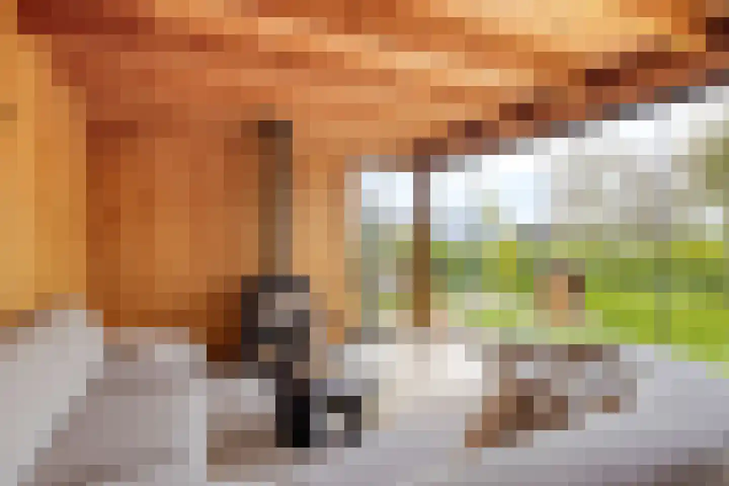 Parallelweg 8 Opheusden thumbnail 35