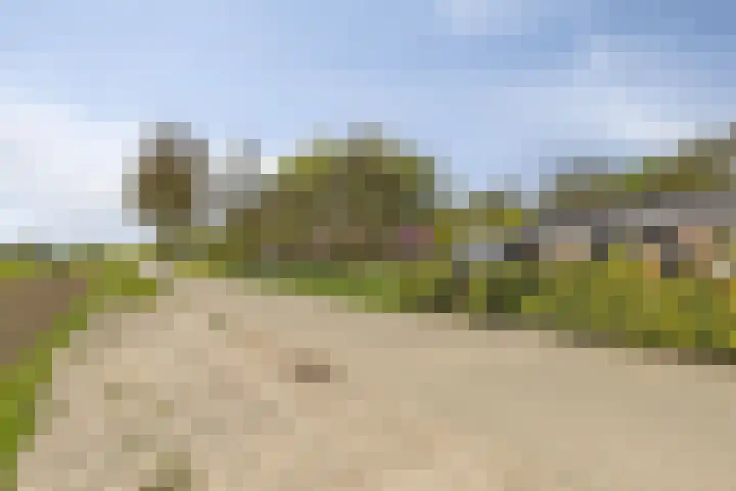 Parallelweg 8 Opheusden thumbnail 42