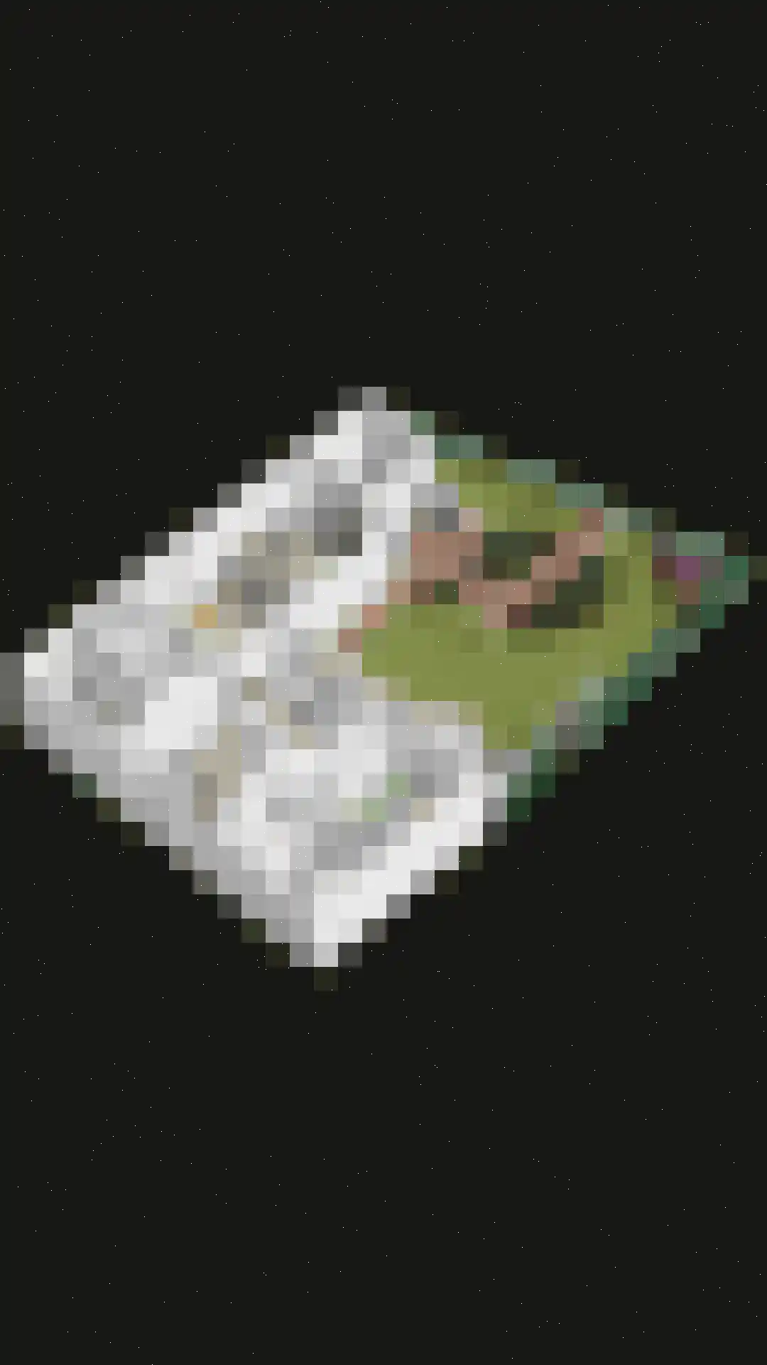 Parallelweg 8 Opheusden thumbnail 49