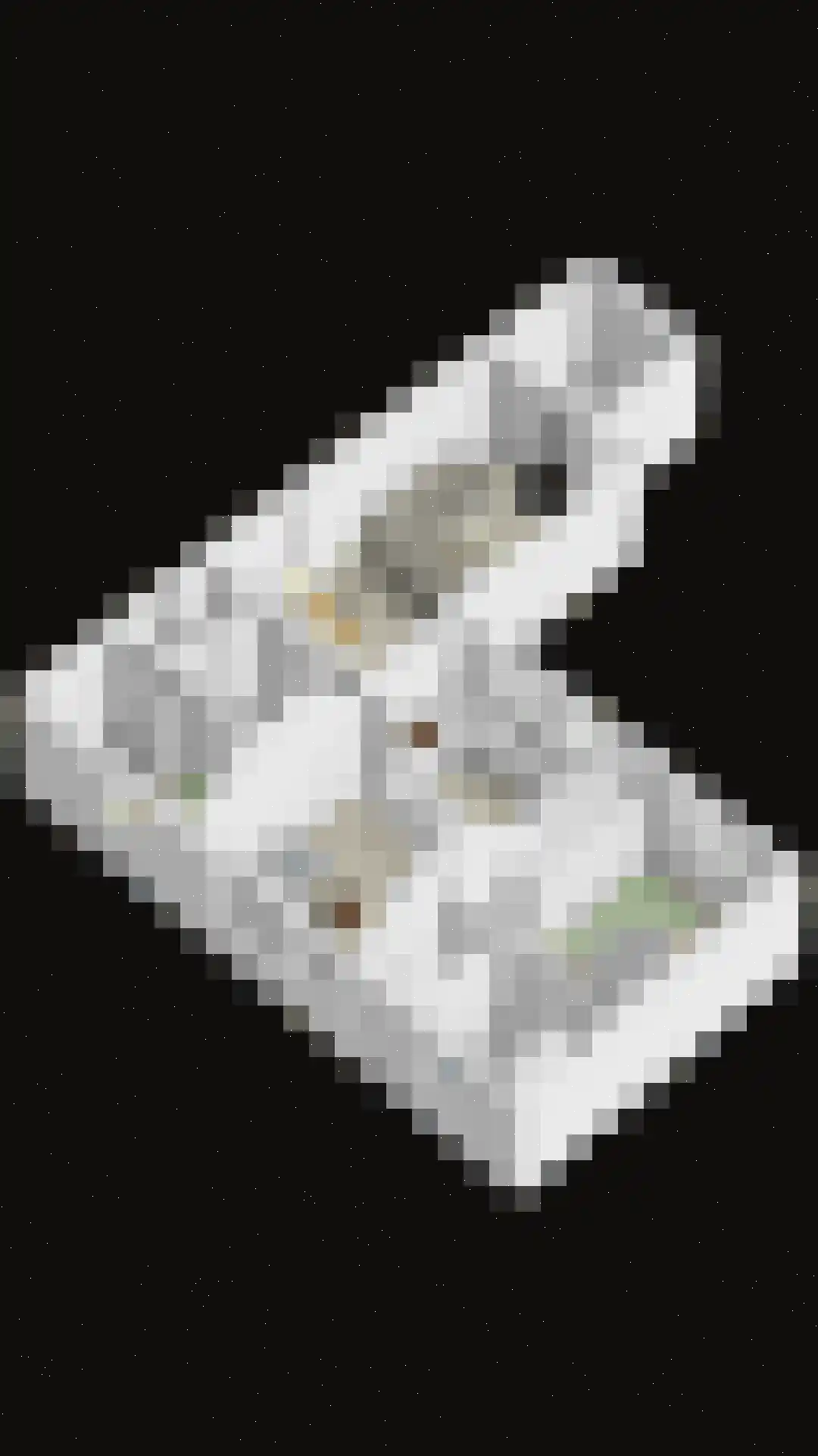 Parallelweg 8 Opheusden thumbnail 51