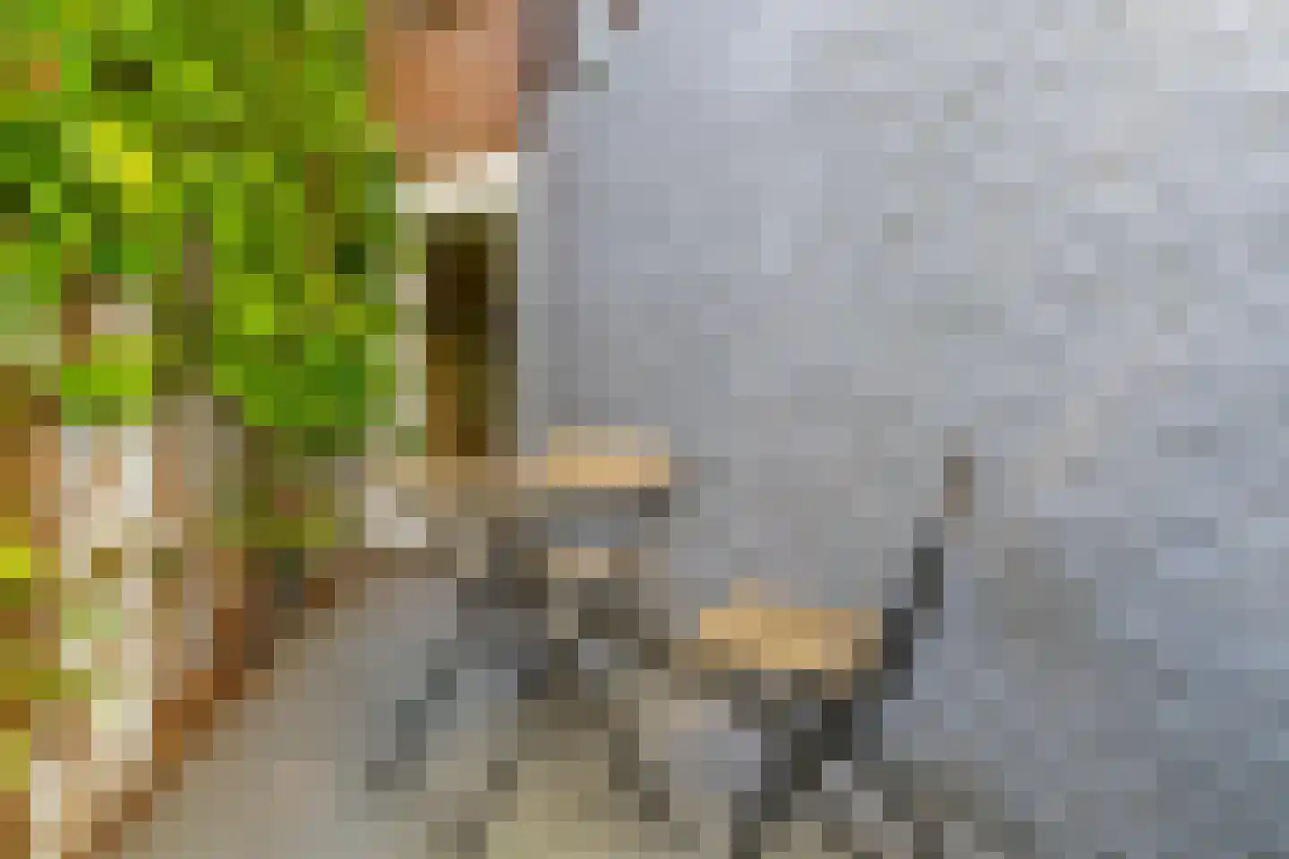 Parallelweg 8 's-Hertogenbosch thumbnail 11