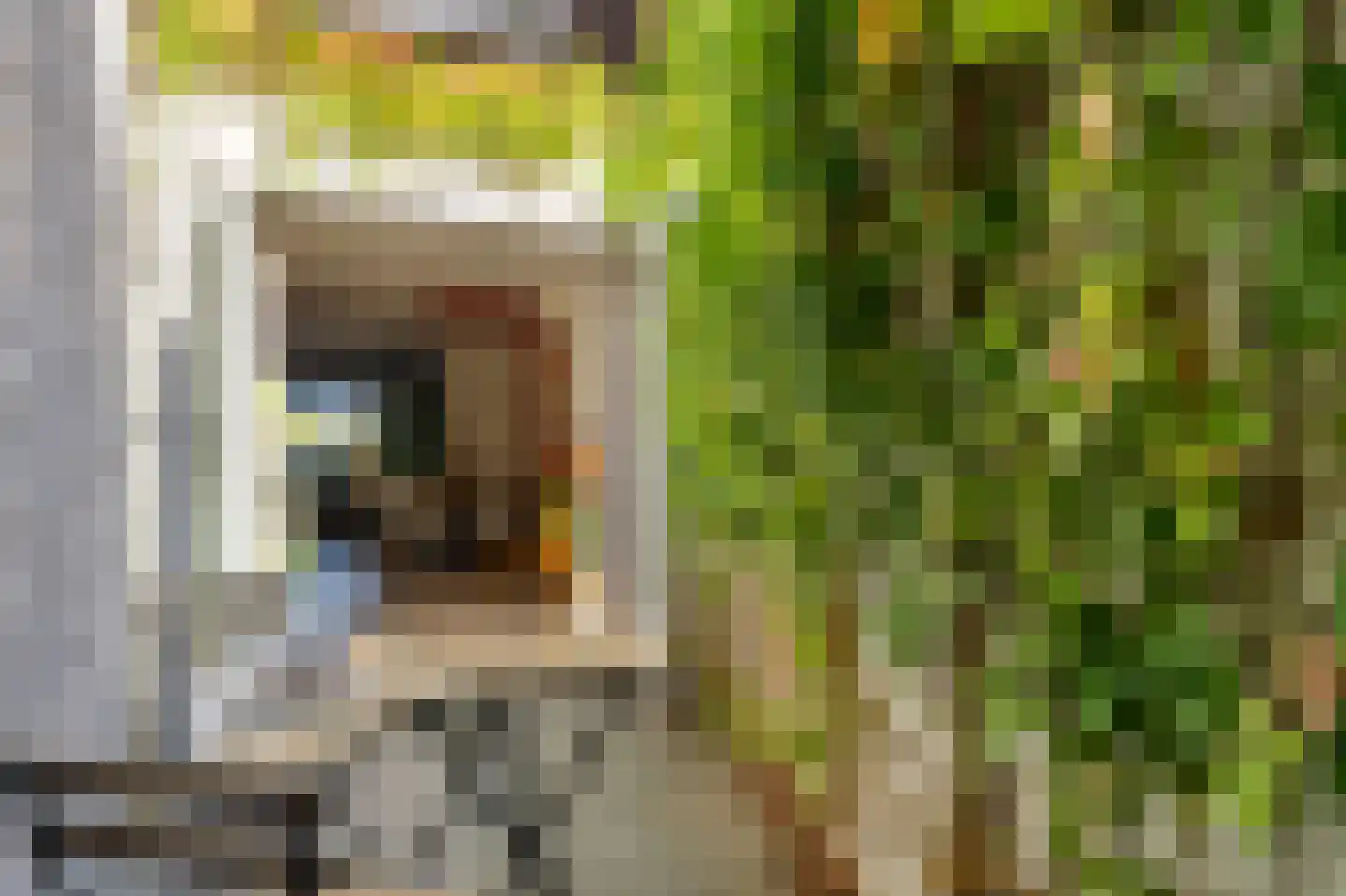 Parallelweg 8 's-Hertogenbosch thumbnail 12