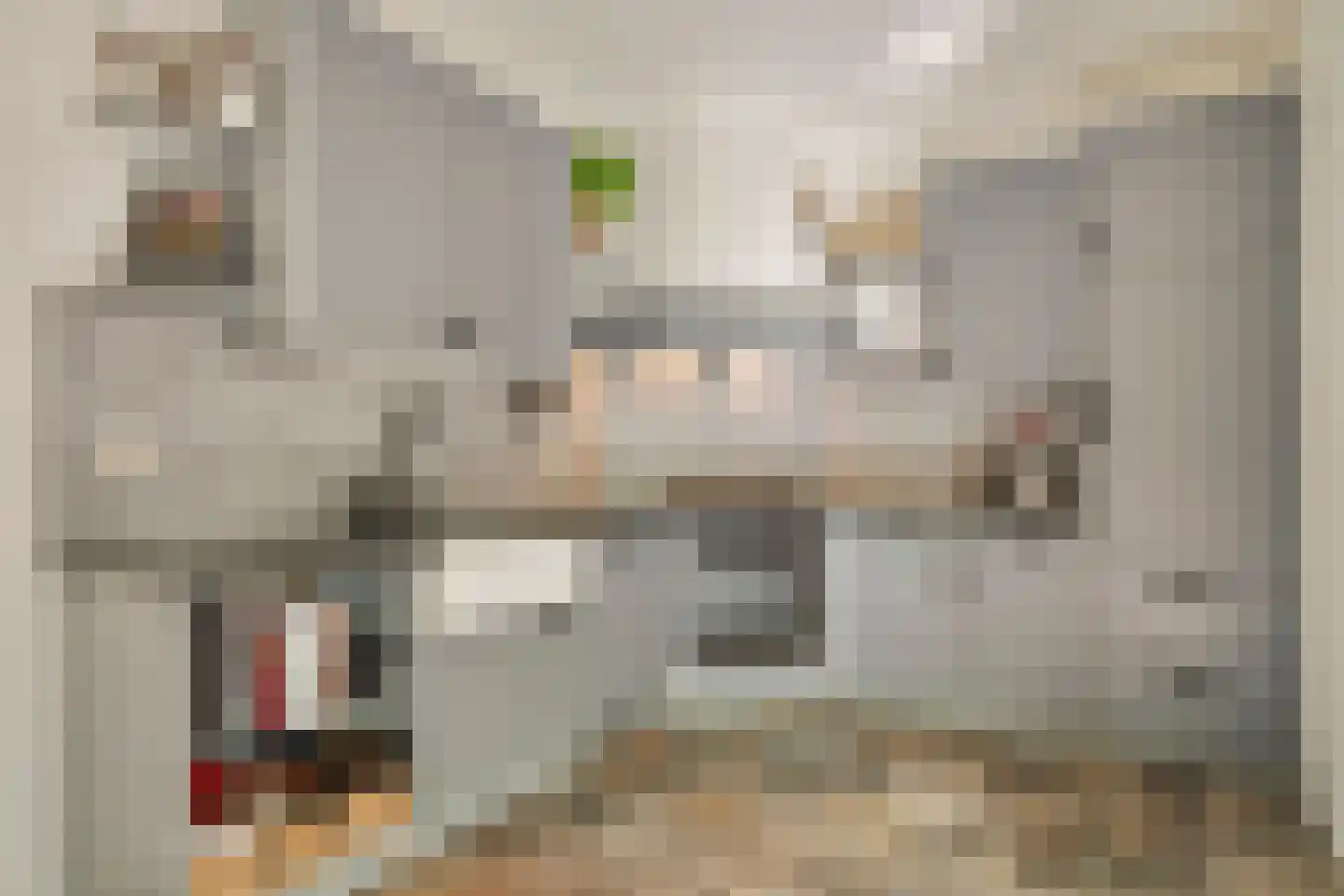 Parallelweg 8 's-Hertogenbosch thumbnail 13