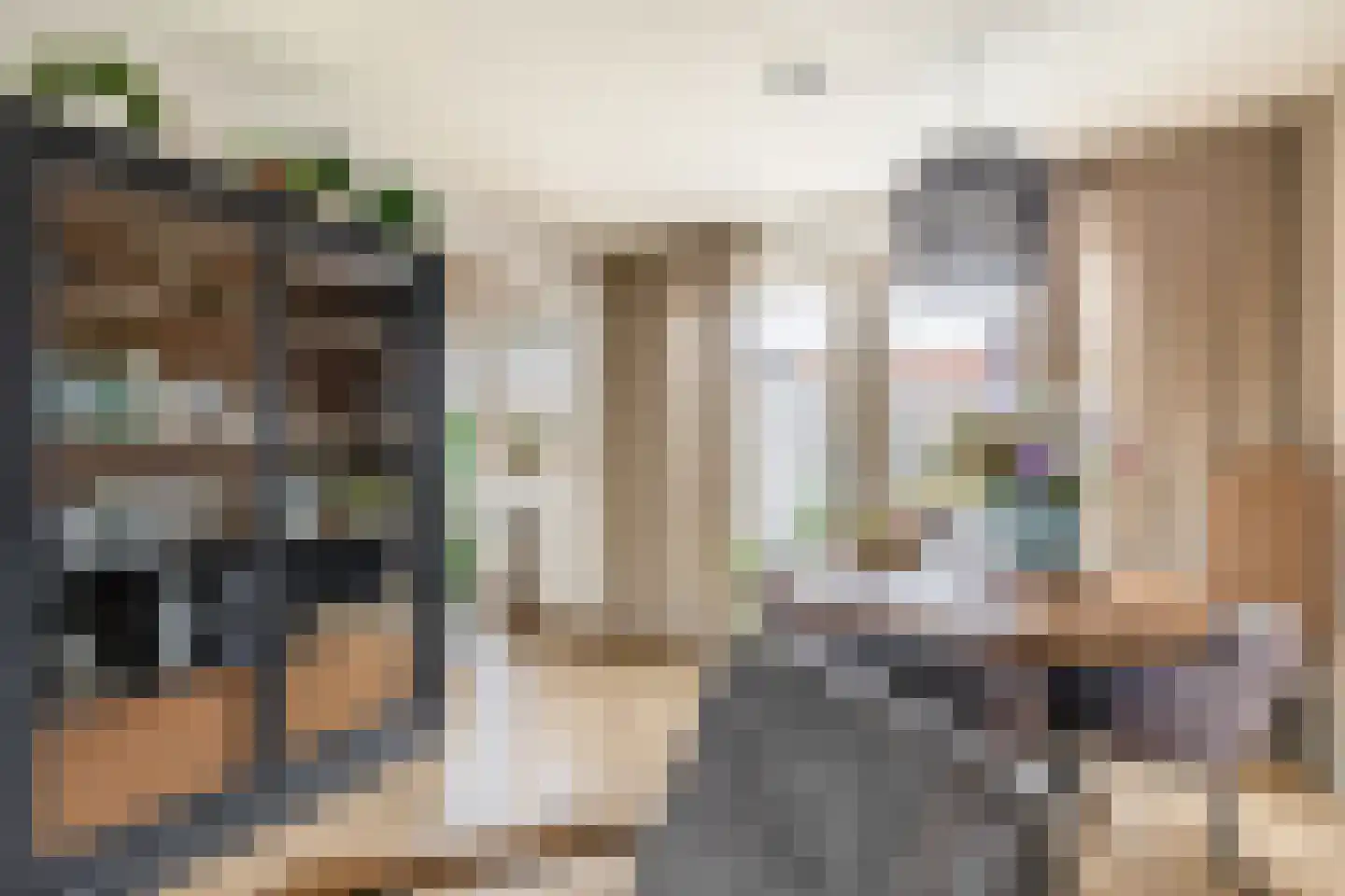 Parallelweg 8 Schagen thumbnail 13