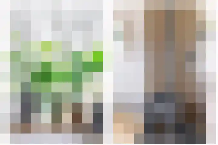 Parallelweg 8 Schagen thumbnail 14