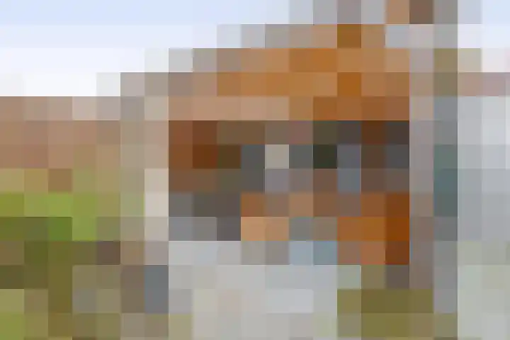 Parallelweg 8 Schagen thumbnail 25