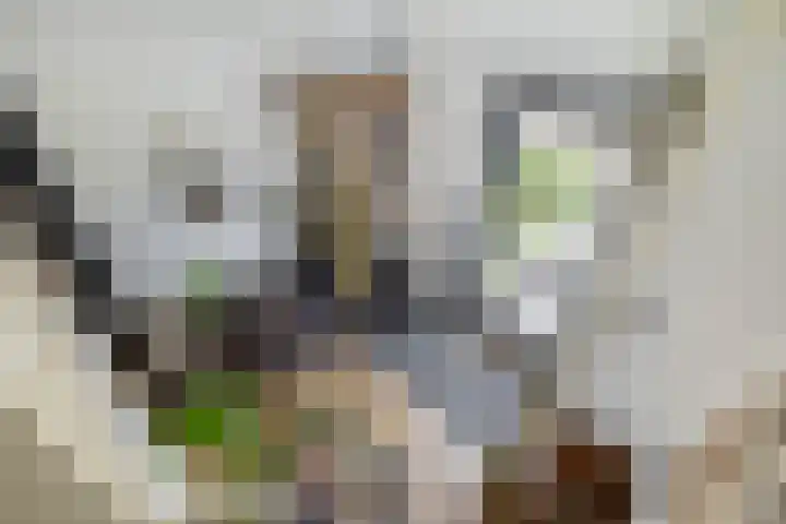 Parallelweg 8 Schagen thumbnail 30