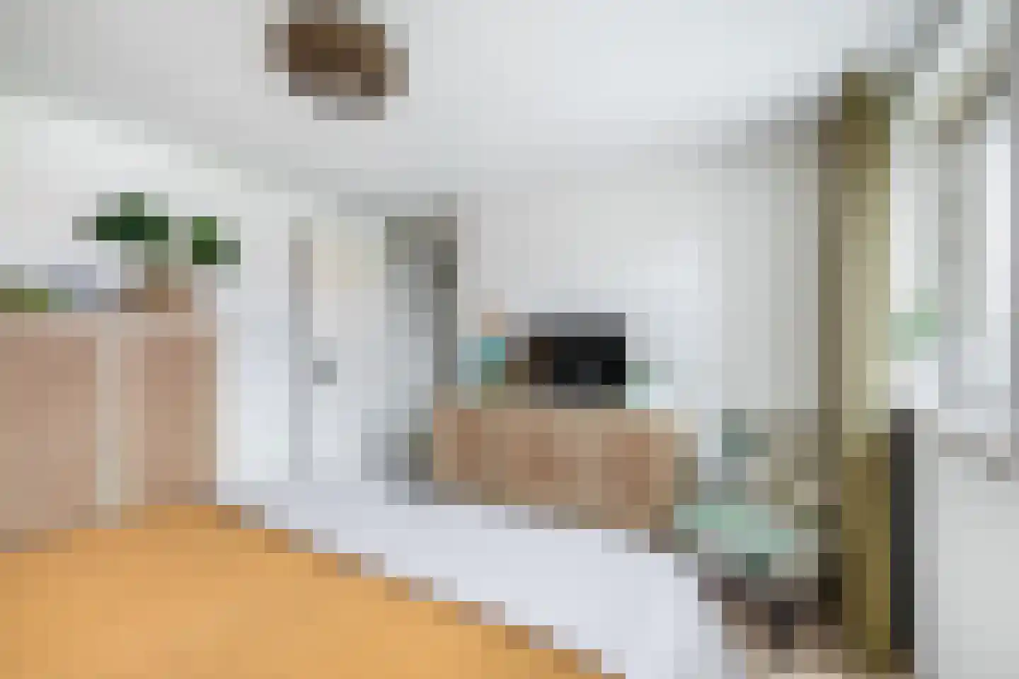 Parallelweg 8 Schagen thumbnail 36