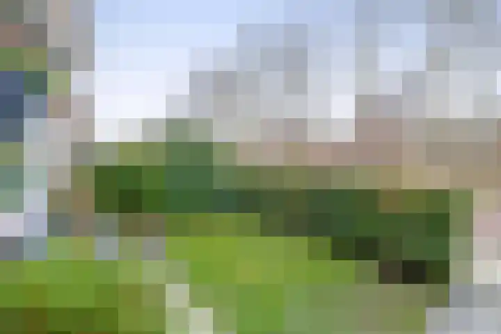 Parallelweg 8 Schagen thumbnail 46