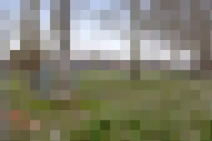 Parallelweg 8 Schagen thumbnail 47