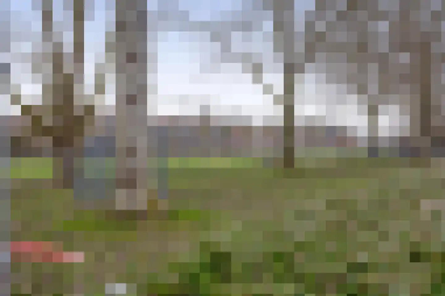 Parallelweg 8 Schagen thumbnail 47