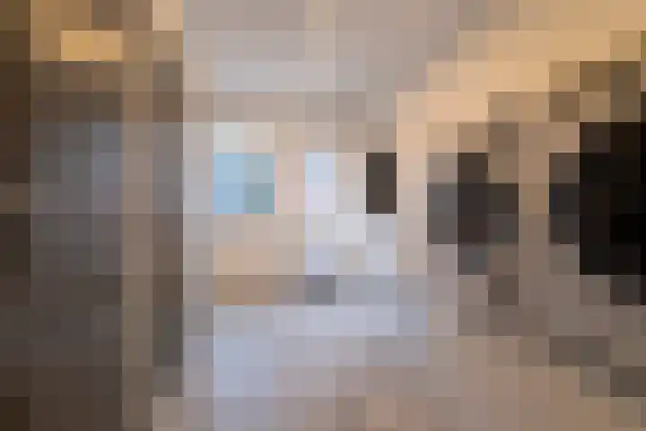 Parallelweg 8 Veenendaal thumbnail 10