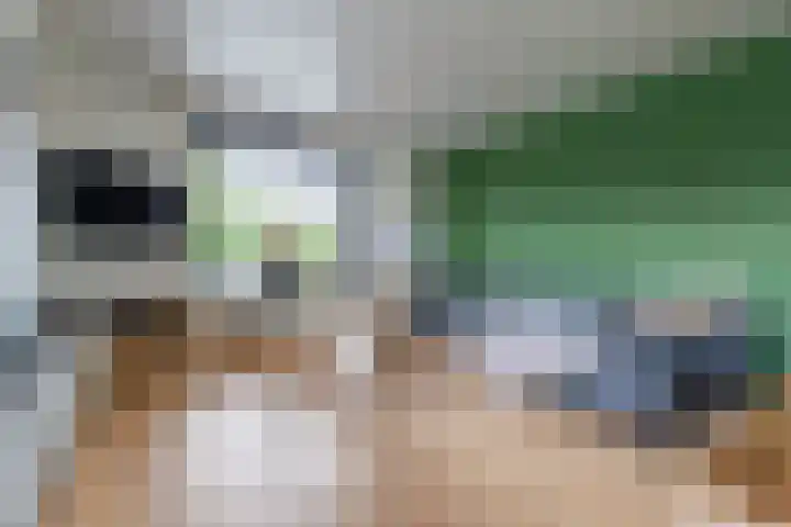 Parallelweg 8 Veenendaal thumbnail 4