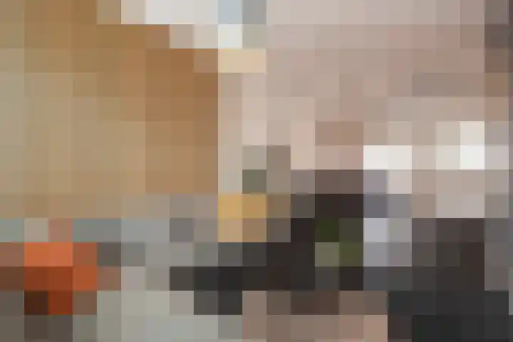 Parallelweg 81 Den Helder thumbnail 6