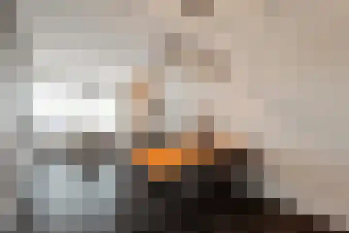 Parallelweg 81 Den Helder thumbnail 8
