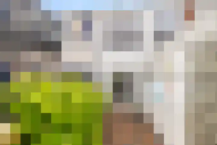 Parallelweg 87 Den Helder thumbnail 19
