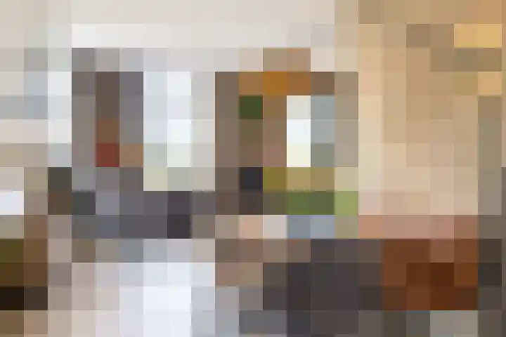 Parallelweg 9 Aalten thumbnail 9