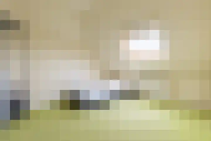 Parallelweg 9 Aalten thumbnail 19