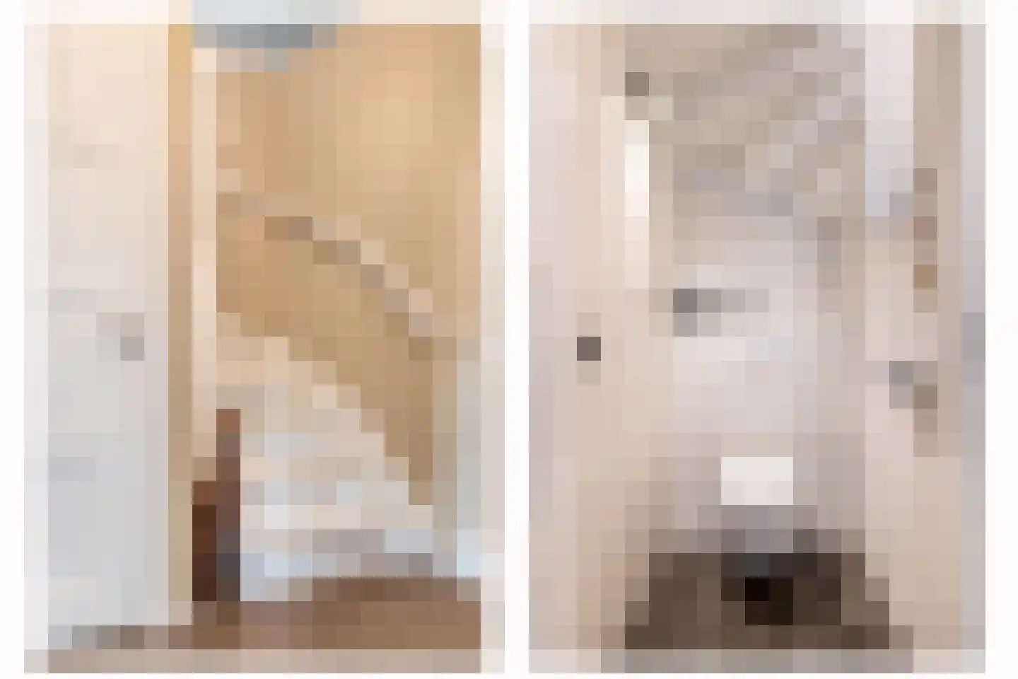 Parallelweg 9 B Schijndel thumbnail 31