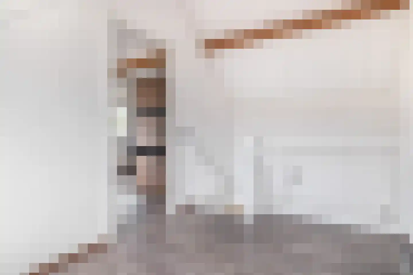 Parallelweg 9 B Schijndel thumbnail 32