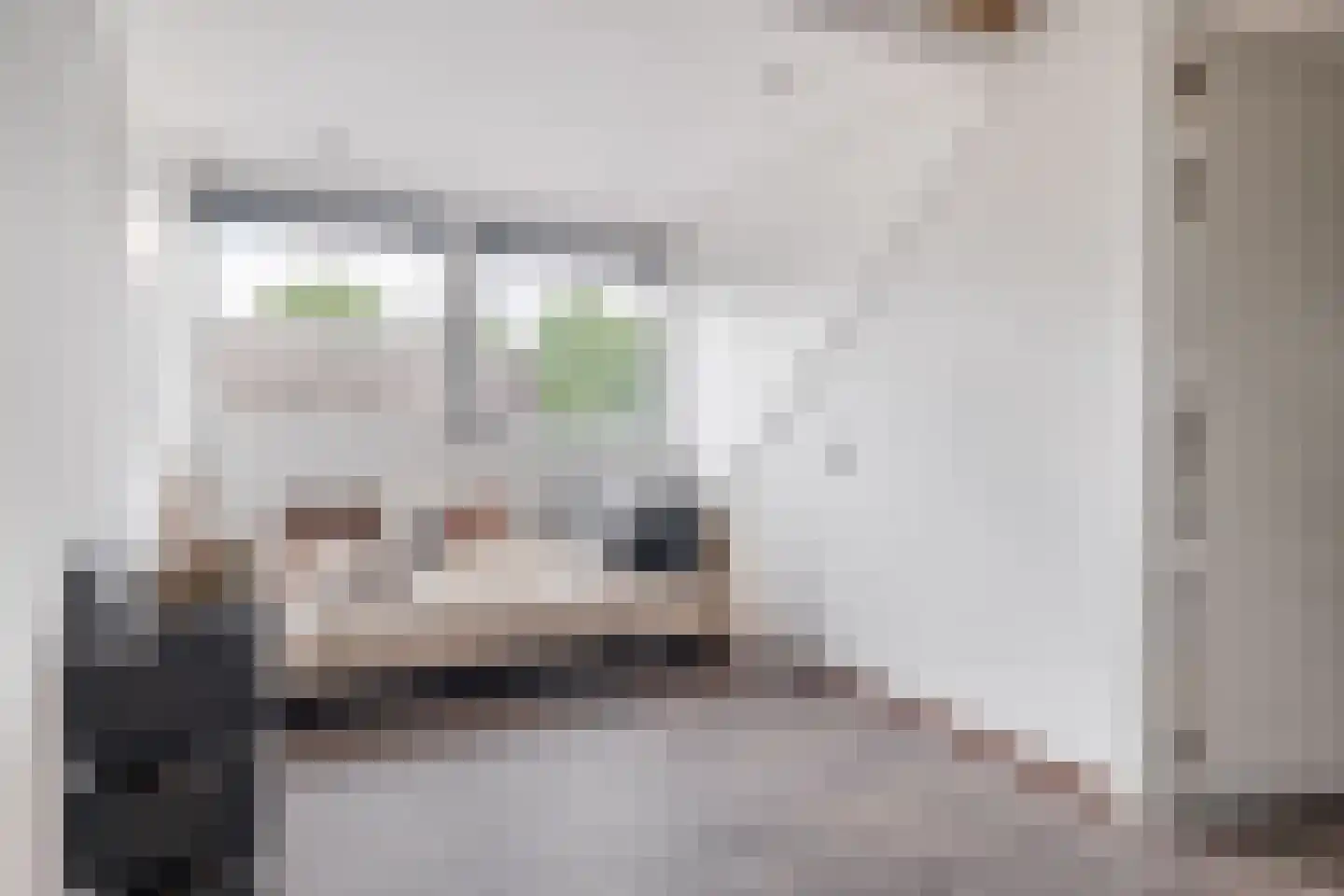 Parallelweg 9 B Schijndel thumbnail 33