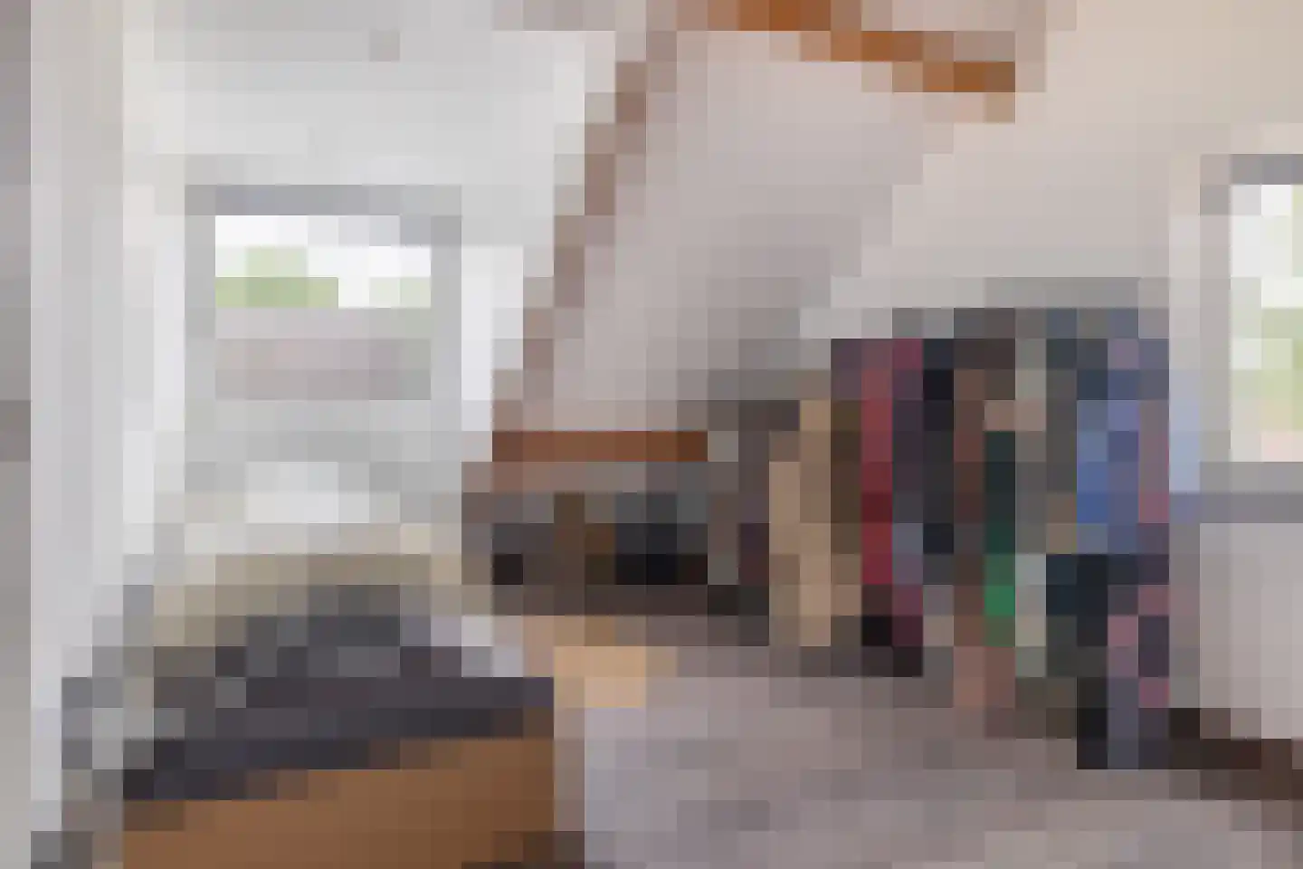 Parallelweg 9 B Schijndel thumbnail 34