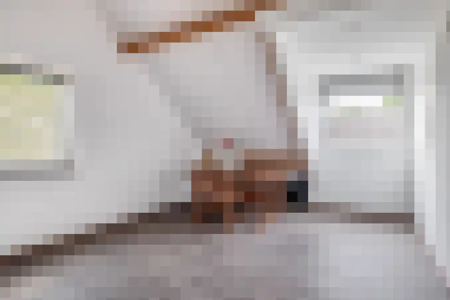 Parallelweg 9 B Schijndel thumbnail 35