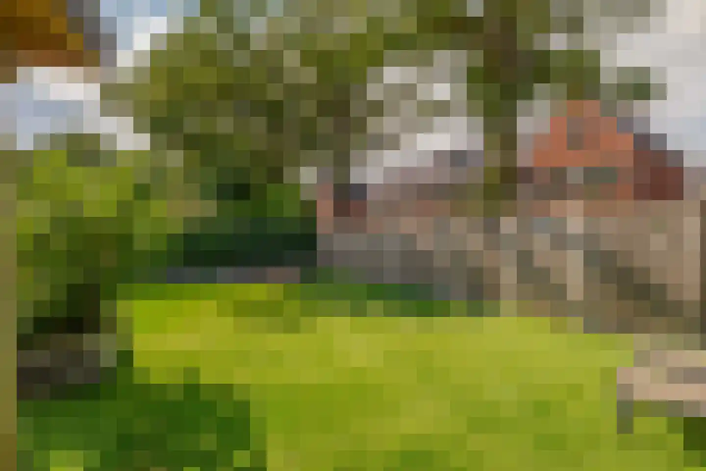Parallelweg 9 B Schijndel thumbnail 43