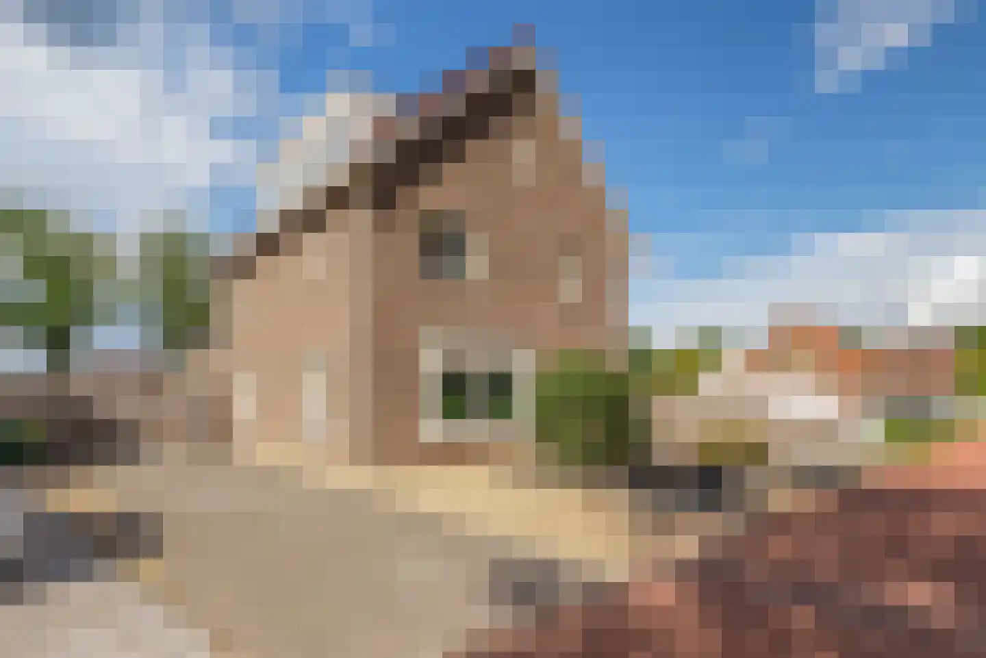 Parallelweg 9 B Schijndel thumbnail 45
