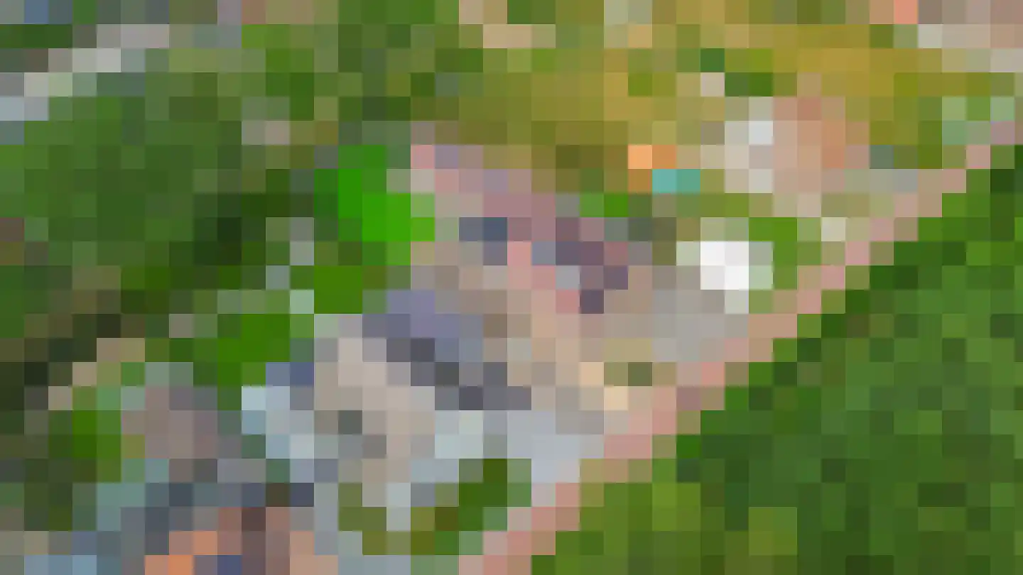Parallelweg 9 B Schijndel thumbnail 48