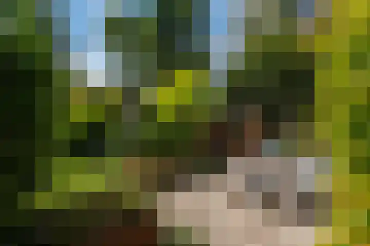 Parallelweg 9 d Sneek thumbnail 5