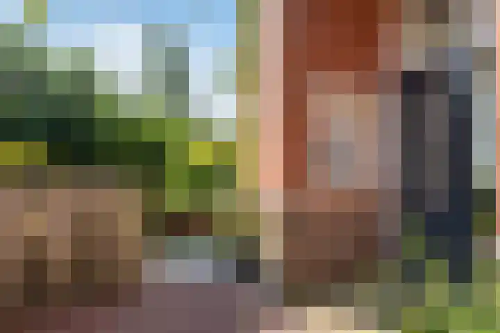 Parallelweg 9 d Sneek thumbnail 8