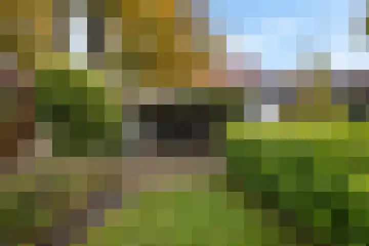 Parallelweg 9 Veendam thumbnail 39