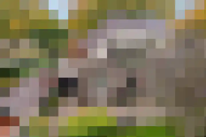 Parallelweg 9 Veendam thumbnail 42