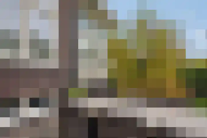 Parallelweg 9 Veendam thumbnail 45
