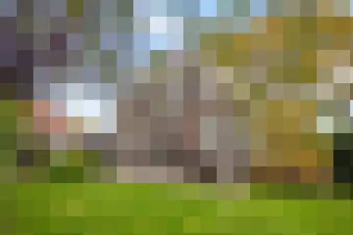 Parallelweg 9 Veendam thumbnail 47