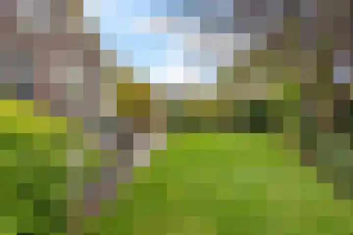 Parallelweg 9 Veendam thumbnail 48