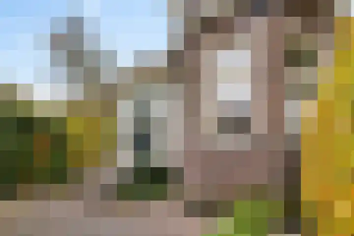 Parallelweg 9 Veendam thumbnail 50