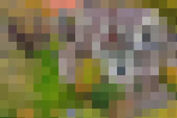 Parallelweg 9 Veendam thumbnail 52