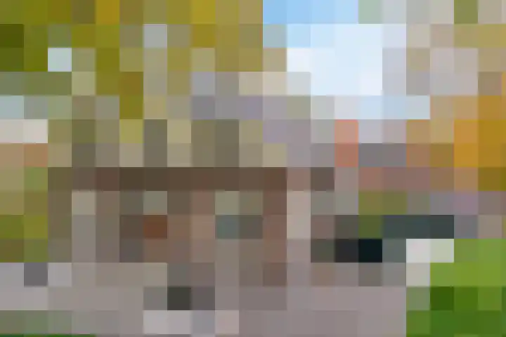 Parallelweg 9 Veendam thumbnail 56
