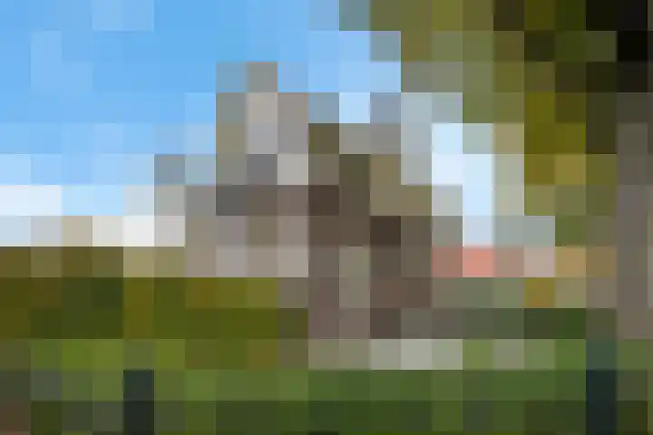 Parallelweg 9 Veendam thumbnail 58