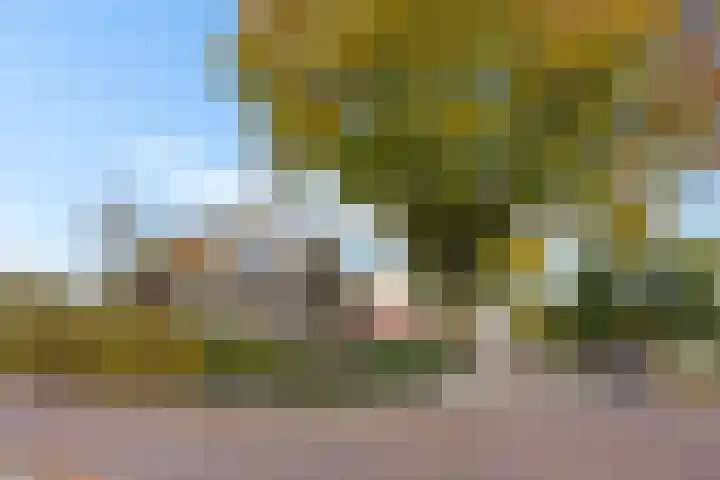 Parallelweg 9 Veendam thumbnail 59