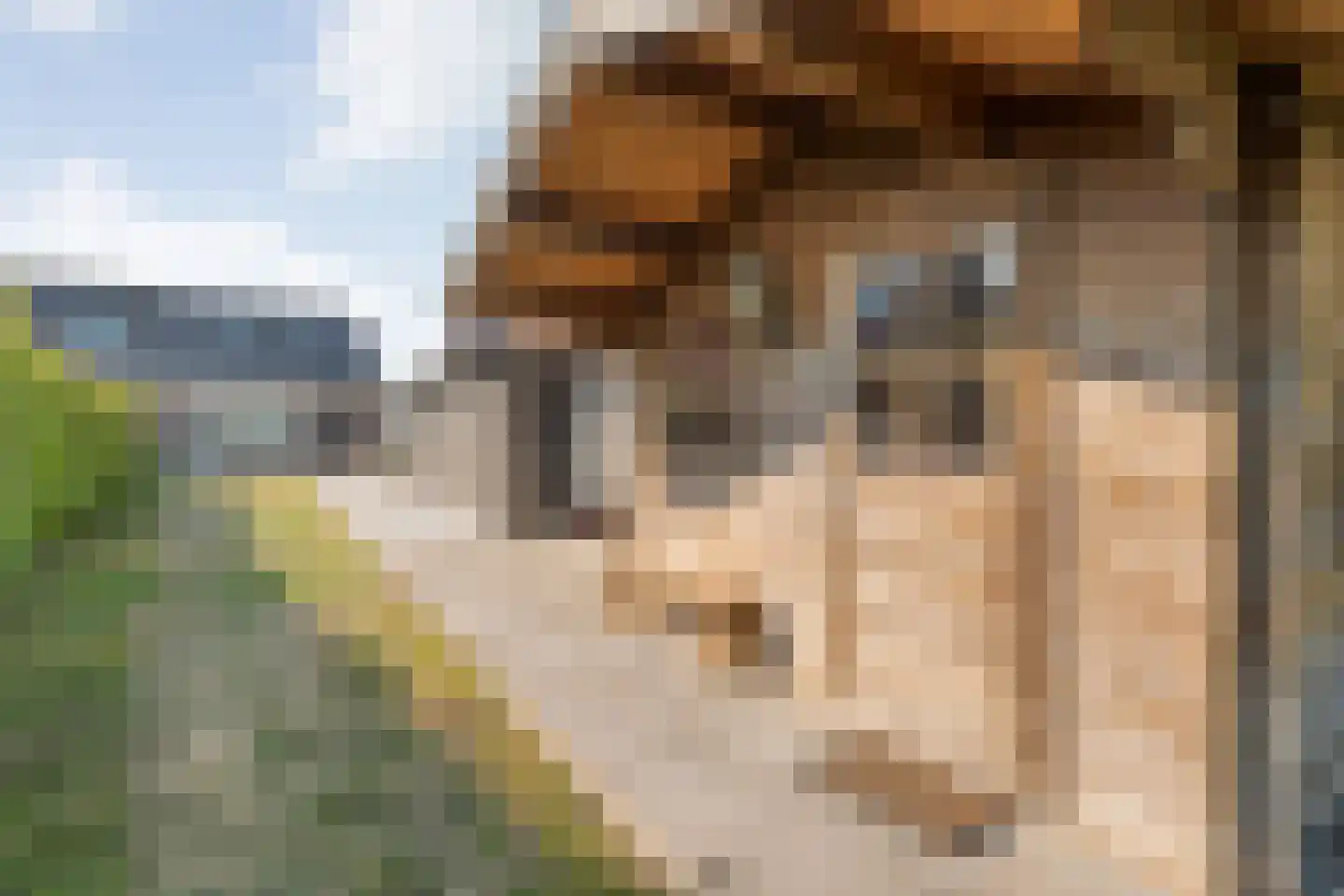Parallelweg 90 De Krim thumbnail 40
