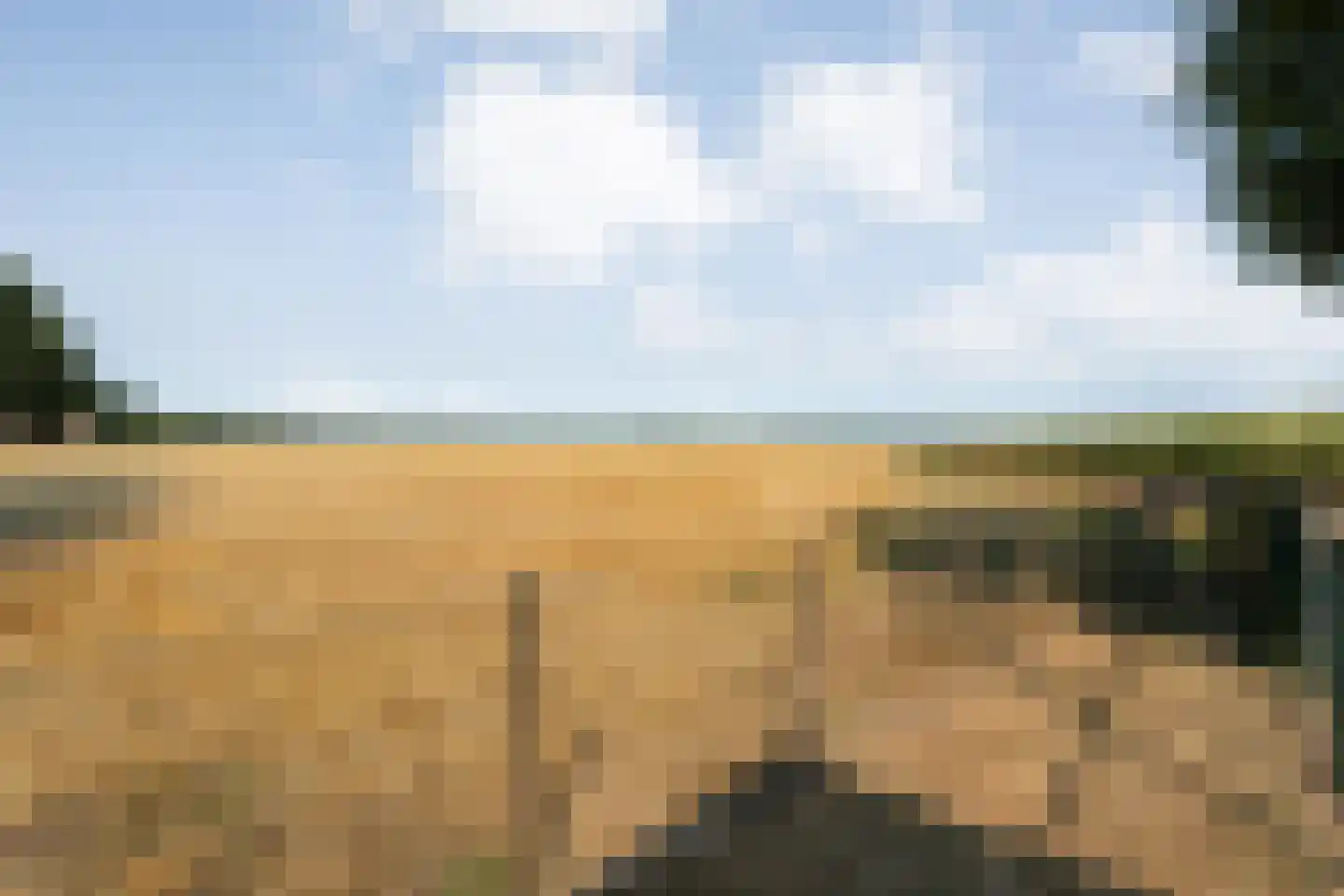 Parallelweg 90 De Krim thumbnail 56