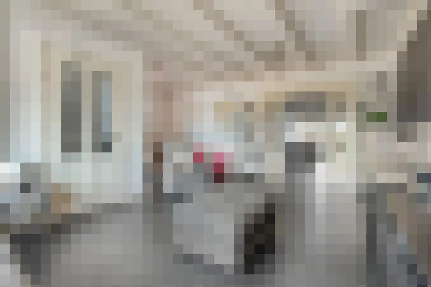 Parallelweg 90 De Krim thumbnail 9