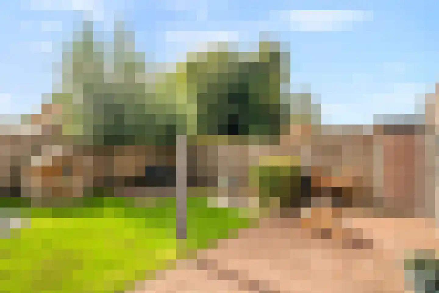 Parallelweg 93 Nunspeet thumbnail 12