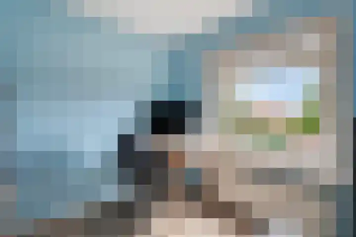 Parallelweg 95 Nunspeet thumbnail 32